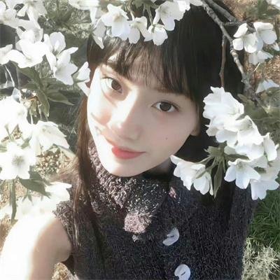 当樱花盛开